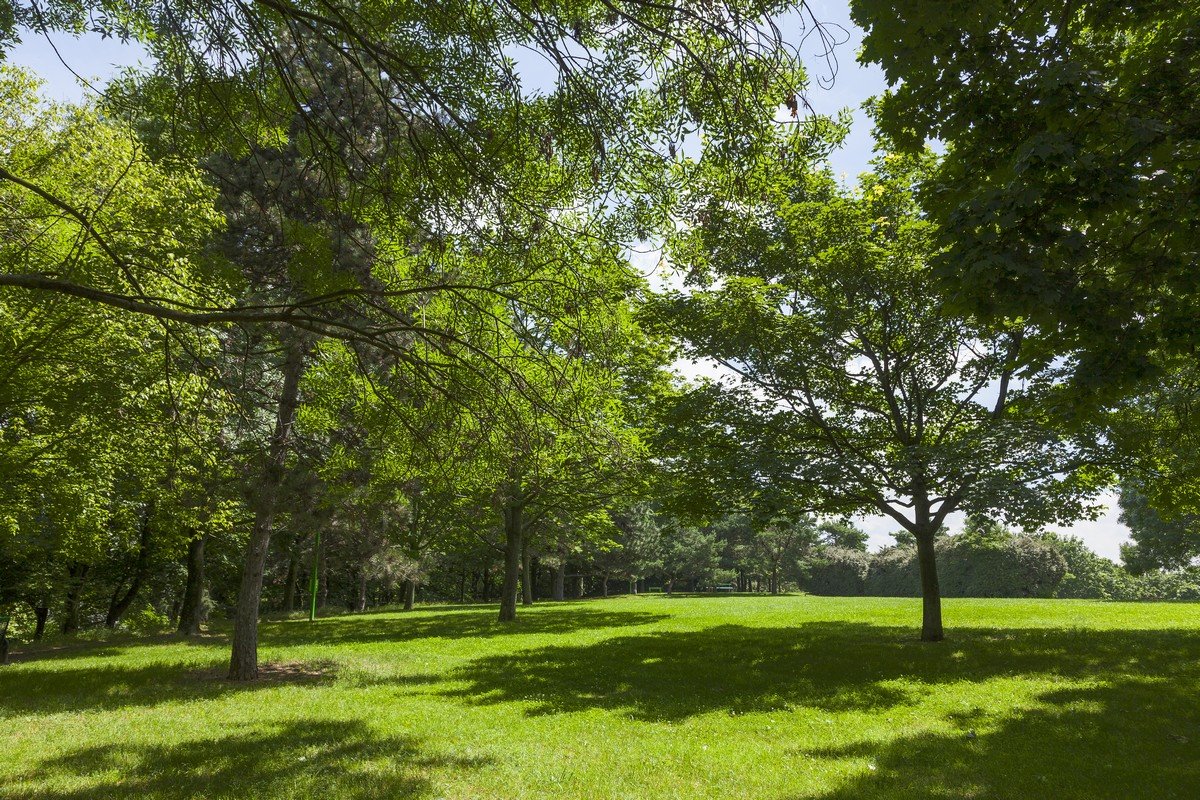 ogic-bobigny-south-canal-parc-foret