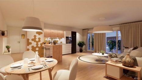ogic-st-leu-la-foret-appartement-neuf-salon-balcon-nuit